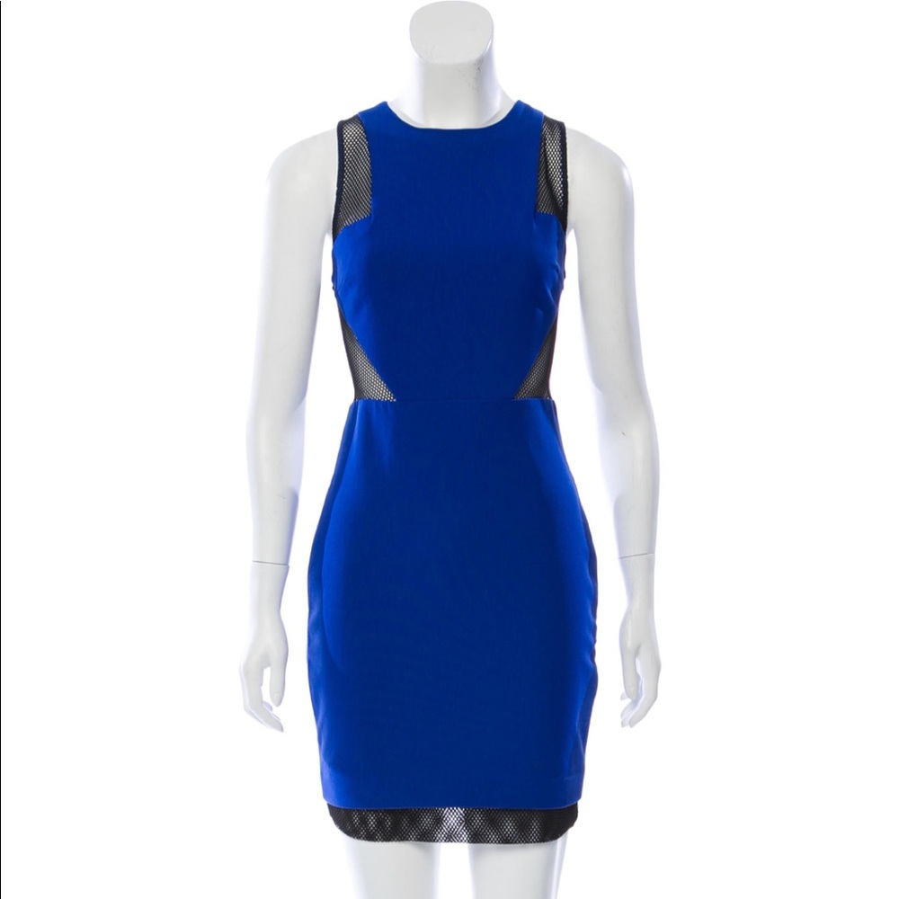 Elizabeth and James Dress with mesh details